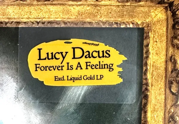 Forever Is A Feeling — Lucy Dacus